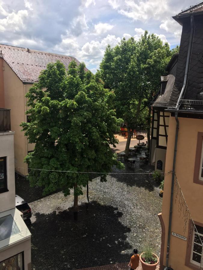 3 Apartments Am Wambolter Hof 3 Бенсхайм Екстериор снимка
